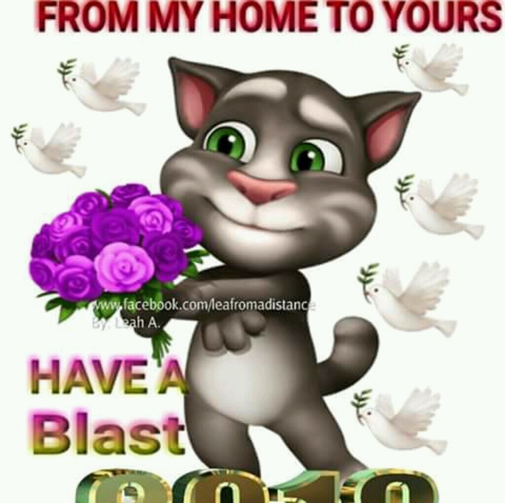 Meet your Posher, Dorreatha